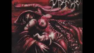 Disgorge : Sodomize the Bleeding