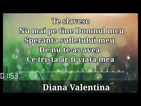 Negativ Diana Valentina Isuse Doar tu esti speranta mea