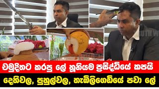 Download lagu චමුදිතට කරපු ලේ හූනියම | ප්‍රසිද්ධියේම කපයි | Chamuditha Samarawickrama mp3