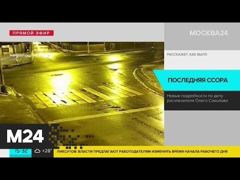 Адвокат историка Соколова прокомментировал видео ссоры доцента и его аспирантки - Москва 24