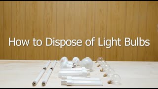How to Safely Dispose of Fluorescent Bulbs