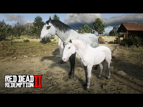 Preciso DOMAR 10 CAVALOS - Red Dead Redemption 2