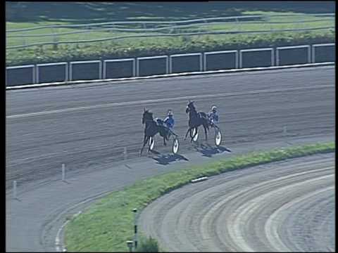 Trotto 22/05/2016 - prova di qualifica