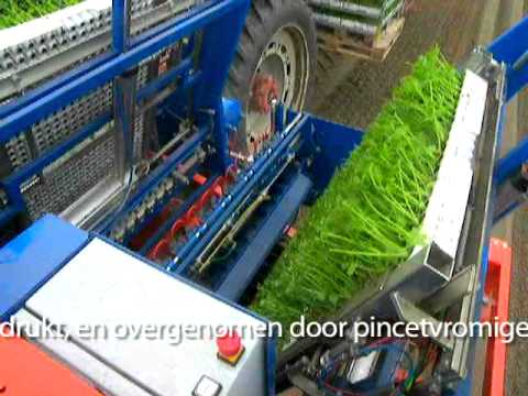 download lagu mp3 mp4 Ferrari Planter, download lagu Ferrari Planter gratis, unduh video klip Ferrari Planter