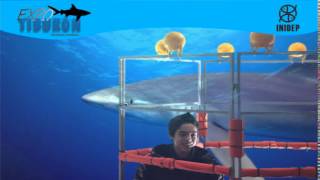 DIA 2 Expo Tiburon46