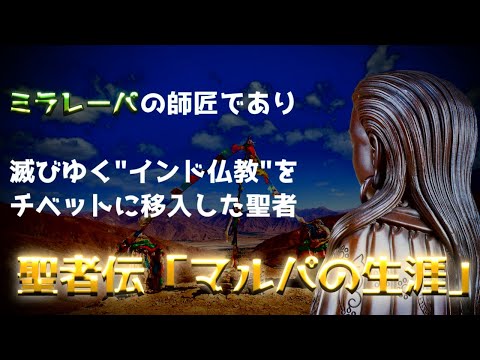 マルカリダエについて詳しく解説