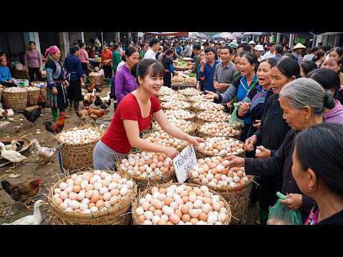 [TIMELAPSE] Construyendo Agujeros de Tierra Para Gallinas y Cosechando Miles de Huevos