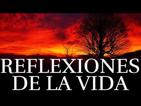 GRANDES Reflexiones De La Vida ¦ Consejos, Autoestima, Amor Propio