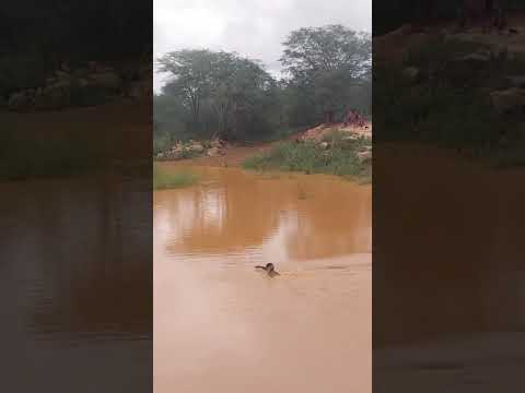 Açude de Ibititá -BA 🌧️🍃 #noticias #dueto #oposicioneseducacion #nordeste