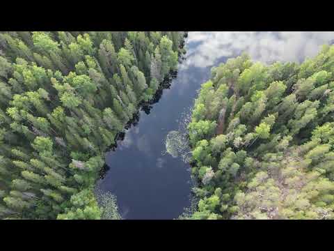 50 Meters Straight Down! 😱 | Helvetinjärvi Drone #Shorts