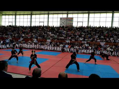 Avan Demo Team 07.05.2017