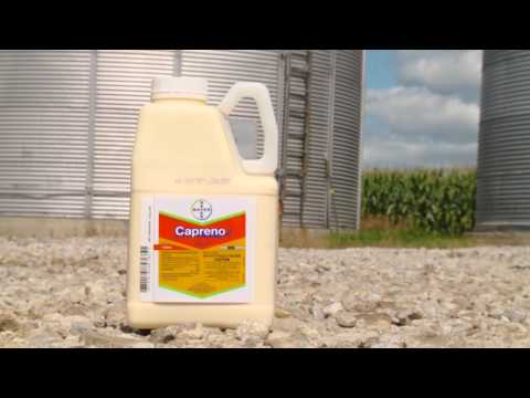 One-Pass Herbicide System Controls Common Ragweed & Broadleaf Weeds