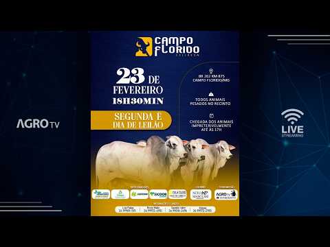 CAMPO FLORIDO LEILÕES - 23/02/2026