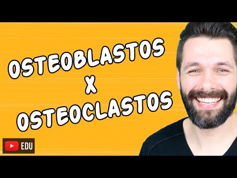 OSTEOBLASTOS, OSTEÓCITOS  E OSTEOCLASTOS - CÉLUAS DO TECIDO ÓSSEO | Biologia com Samuel Cunha