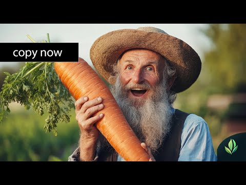 30 Amish Gardening Tricks To Grow More Food With Less Work - Frugal Living Tips