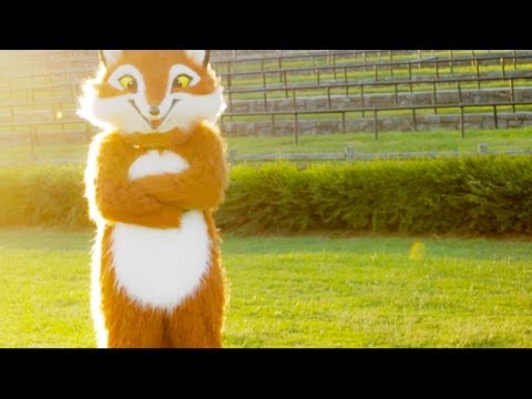 What Does The Fox Say? - The Fox Song Originally by Ylvis (Cover)