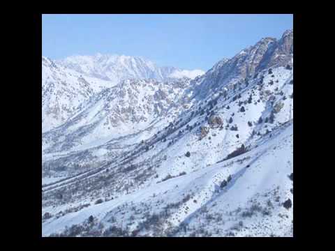 NAVRO'Z  SABIROV   NAVRO'Z GALIB