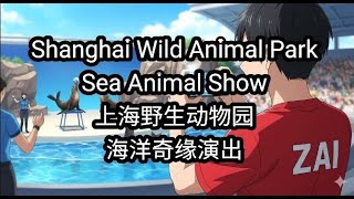 上海野生动物园 - 海洋奇缘演出