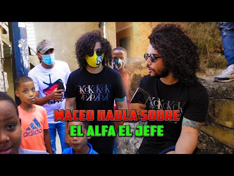 Maceo El Perro Blanco Nos Baja A Su Barrio Y Habla Sobre "El Alfa El Jefe"