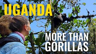 Uganda: Gorilla Trekking, Safaris, and Beyond | Travel in East Africa
