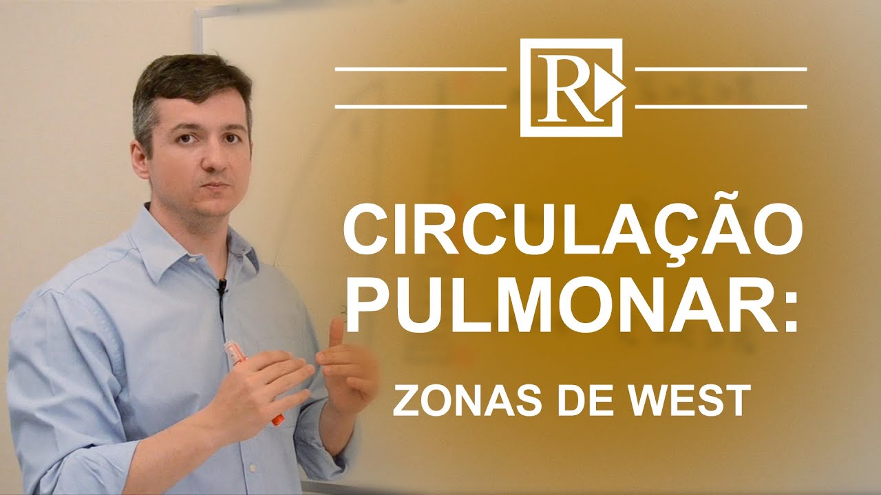 Circulação Pulmonar: Zonas de West - Prof. Rodrigo Storck