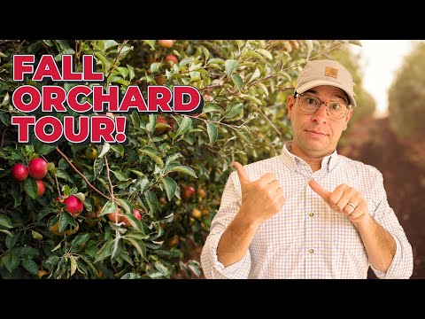FALL 2025: October Texas Orchard Tour!