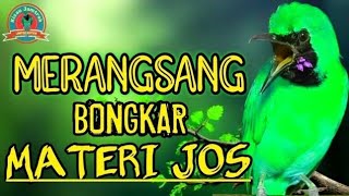 Download lagu PANCINGAN CUCAK IJO GACOR BUKA PARUH BIKIN LAWAN CEPAT ON LANGSUNG EMOSI DENGAR SUARA INI mp3 Download lagu PANCINGAN CUCAK IJO GACOR BUKA PARUH BIKIN LAWAN CEPAT ON LANGSUNG EMOSI DENGAR SUARA INI mp3