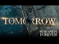 Marvel Studios’ Black Panther: Wakanda Forever | In Theaters Tomorrow Night