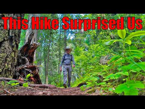 Little Bald Hills Trail: Wildflowers, Pitcher Plants & Redwoods | Northern California Thru-Hike