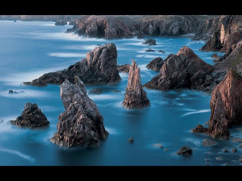 PAPPA BEAR - CHERISH