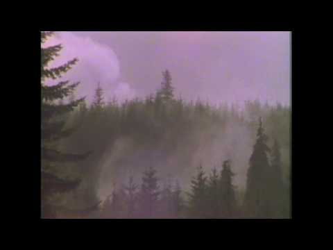 Faces of the Forest Pt2   David Lanz and Paul Speer