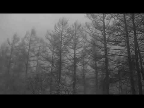 Xasthur - To Violate the Oblivious (Full album)