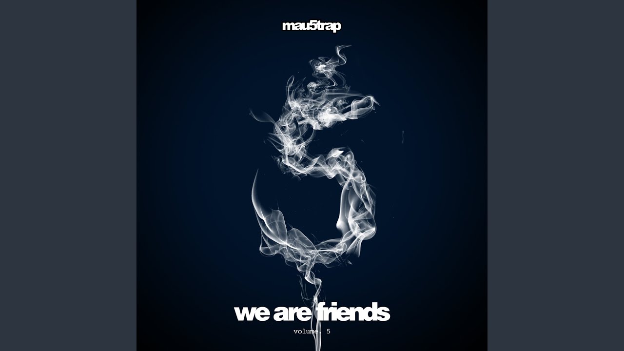 We Are Friends, Vol. 5 (Continuous Mix)