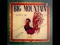Big Mountain - Lick It Up