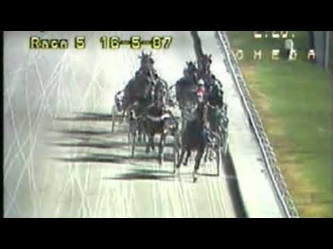 1987 Australian Pacers Derby - Rufus Young Blood