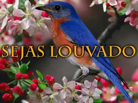 Hinário Adventista 7 Sejas Louvado