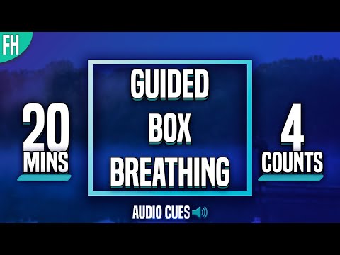 Guided Box Breathing - 20 Minute Meditation (4-4-4-4)