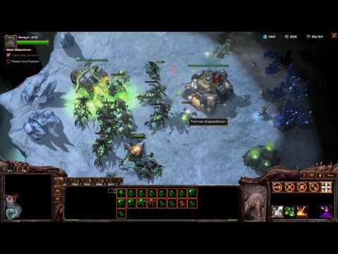 StarCraft 2: Shadow of the Brood 08 - Radgar's Rage