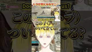 うしろのトラが気になるサニー【にじさんじ/切り抜き/サニーブリスコー/Noctyx/スト6】