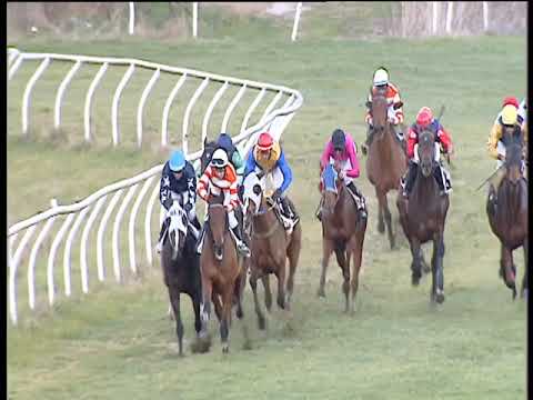 Galoppo 19/01/2019 - 3ª corsa