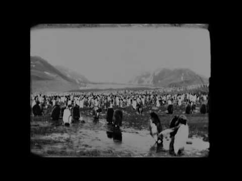 Thumbnail of the video: End Of Summer - Trailer (Out now on Mubi & OST vinyl reissue)
