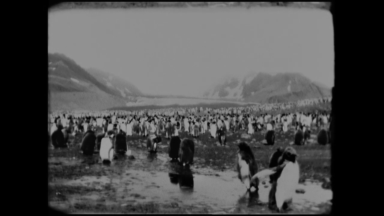 End Of Summer - Trailer (Out now on Mubi & OST vinyl reissue)