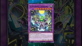 Windas Back!  #yugioh #yugiohcards #yugiohtcg