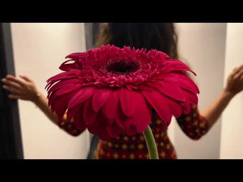 Namana laaj song cover by Anzi