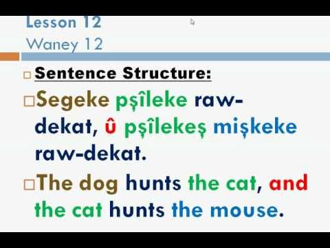 Learn Kurdish with Sarmad Kinany 12 "Sentence Structure" (Sorani Dialect)