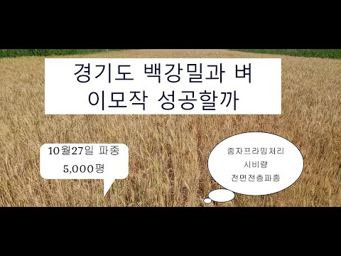 , title : '경기도 지역 밀과 벼 이모작 도전'