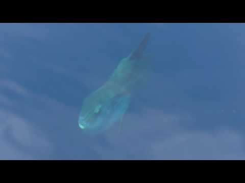 Beautiful Day 091215