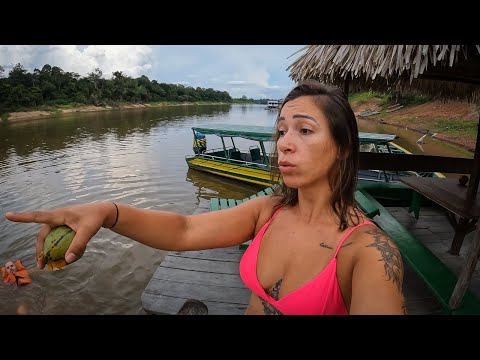 MANAUS BRASILIEN - 3 Tage im Amazonas Regenwald  🇧🇷