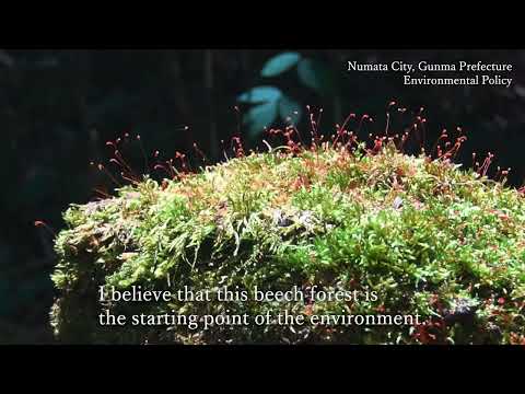 Numata, JAPAN - The Environmental Policy -
