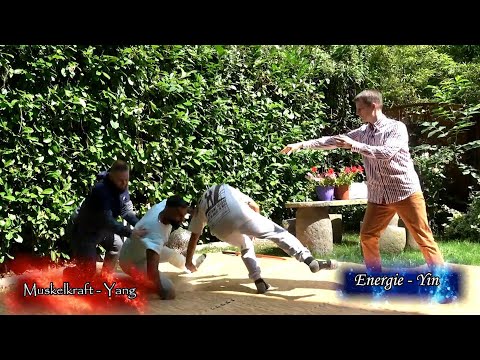 Die Macht des Chi
